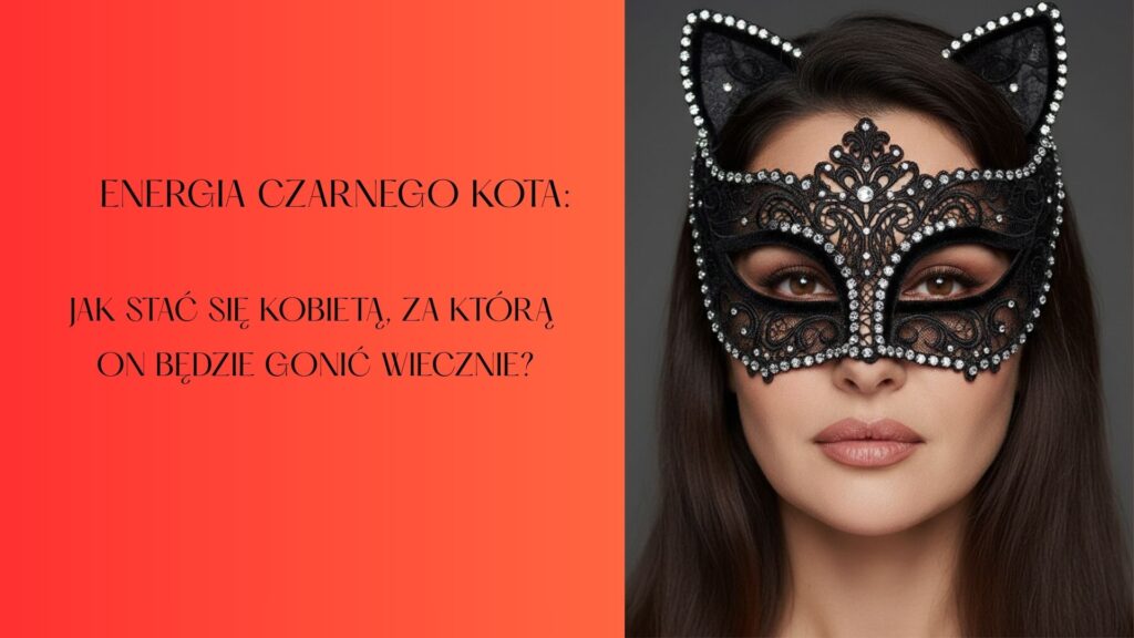 energia czarnego kota wpis na blog chicbykate